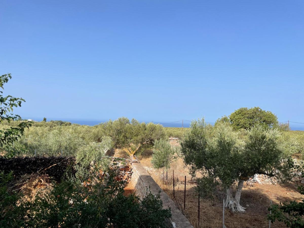 Apartment Casa Blanca Ii Pyrgos Dirou